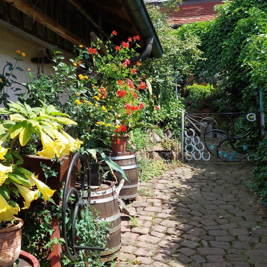Beim Schlafwandler Lejlighed Karlsbad Eksteriør billede